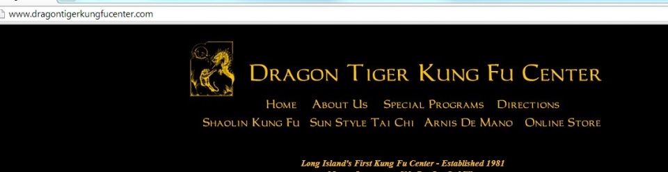 dragon-tiger-first-kung-fu-center-on-long-island